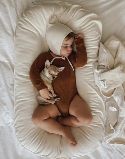 Baby with chihuahua