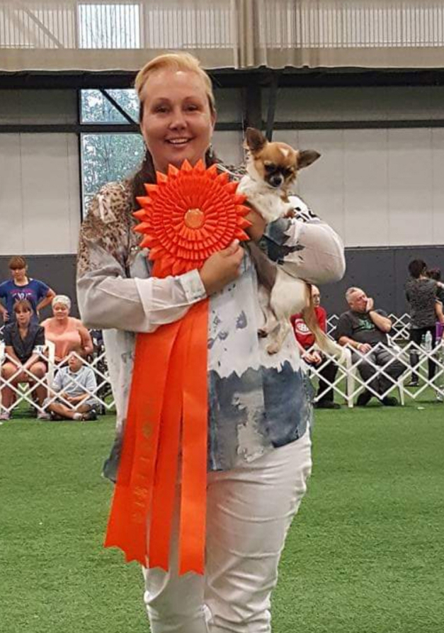 Concours chihuahua Mélanie Chaussée